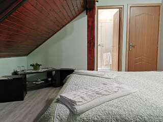 Проживание в семье Casa Suzy & Roxy Arpaşu de Jos Двухместный номер с 1 кроватью, вид на сад-3