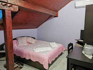Проживание в семье Casa Suzy & Roxy Arpaşu de Jos Двухместный номер с 1 кроватью и собственной ванной комнатой-1