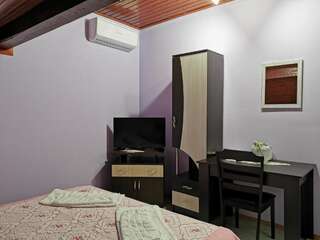 Проживание в семье Casa Suzy & Roxy Arpaşu de Jos Двухместный номер с 1 кроватью и собственной ванной комнатой-2