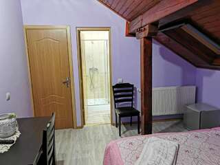 Проживание в семье Casa Suzy & Roxy Arpaşu de Jos Двухместный номер с 1 кроватью и собственной ванной комнатой-3