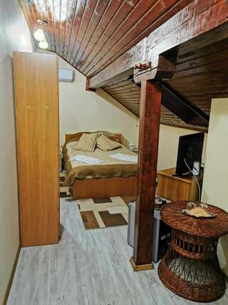 Проживание в семье Casa Suzy & Roxy Arpaşu de Jos Двухместный номер Делюкс с 1 кроватью и душем-1